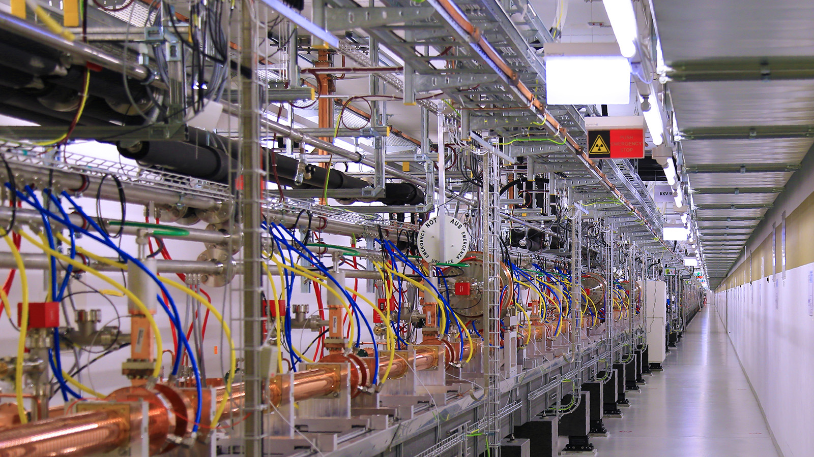 Free Electron Laser