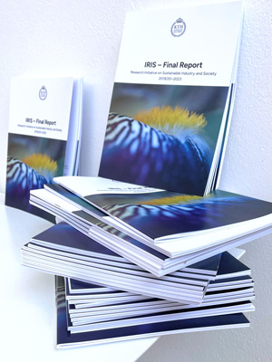 The report