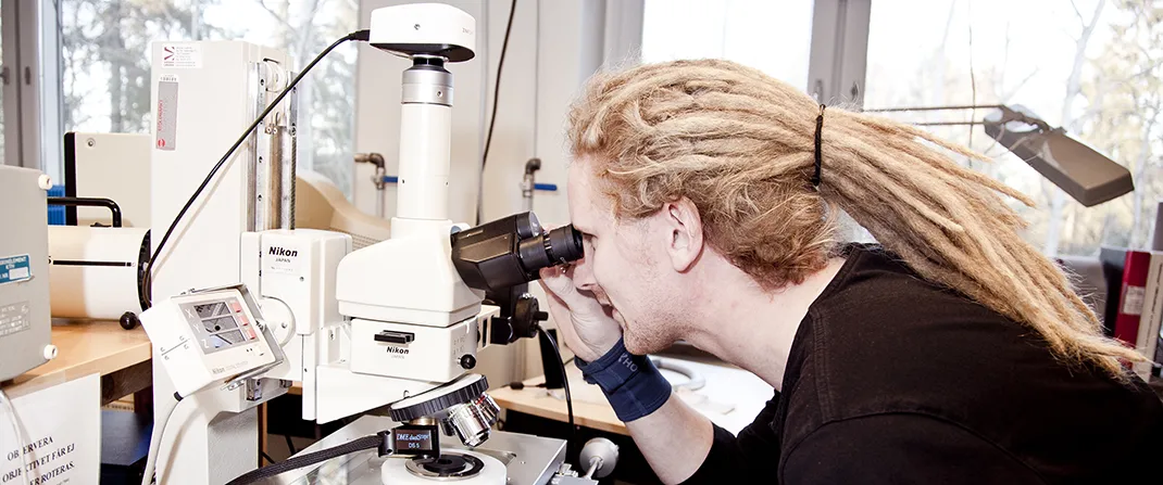 Links to a page for KTH faculty