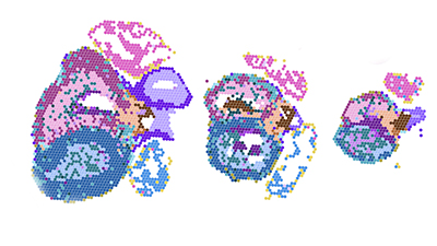 images of three hearts of different sizes