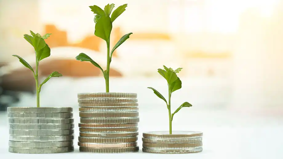 Coins with leaves