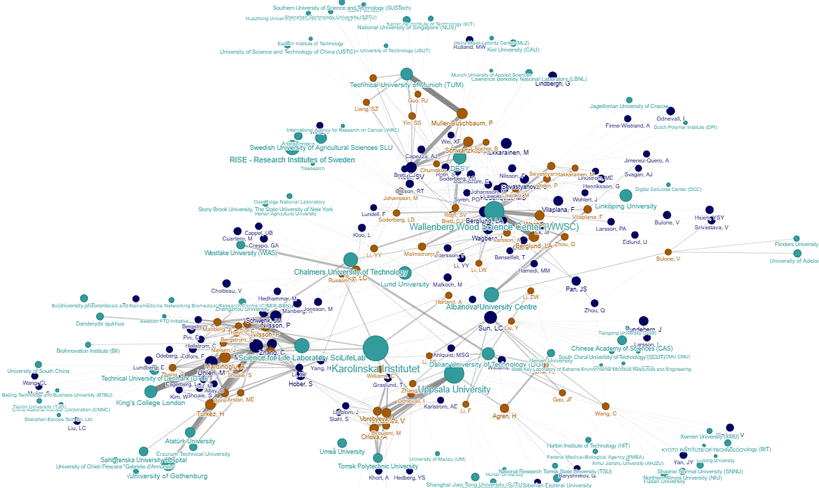 A network visualisation of co-publication 