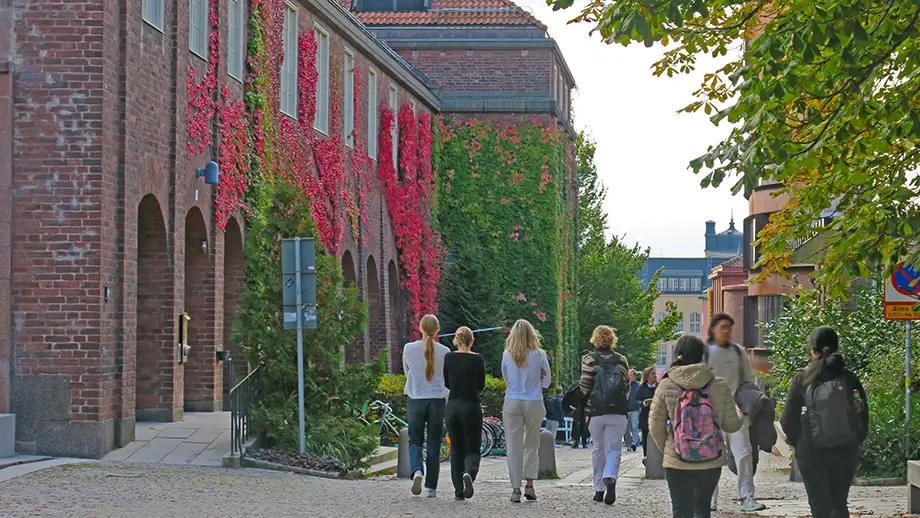 Kvinnor går på Osquars Backe på KTH campus.