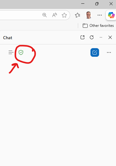 Shows the green shield icon
