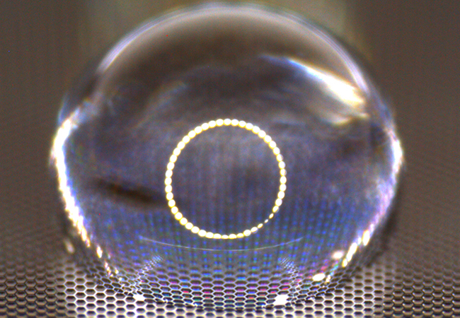 Fluids on a net