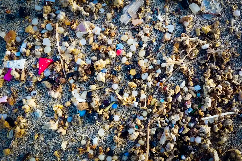 Beach with plastic
