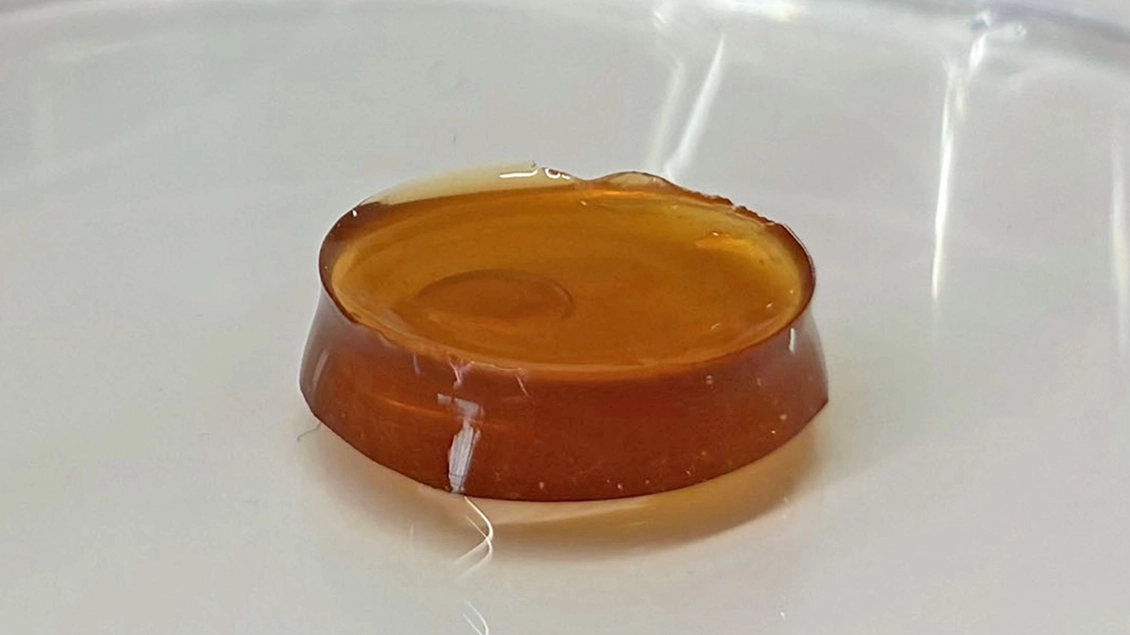 Gels displayed in dishes