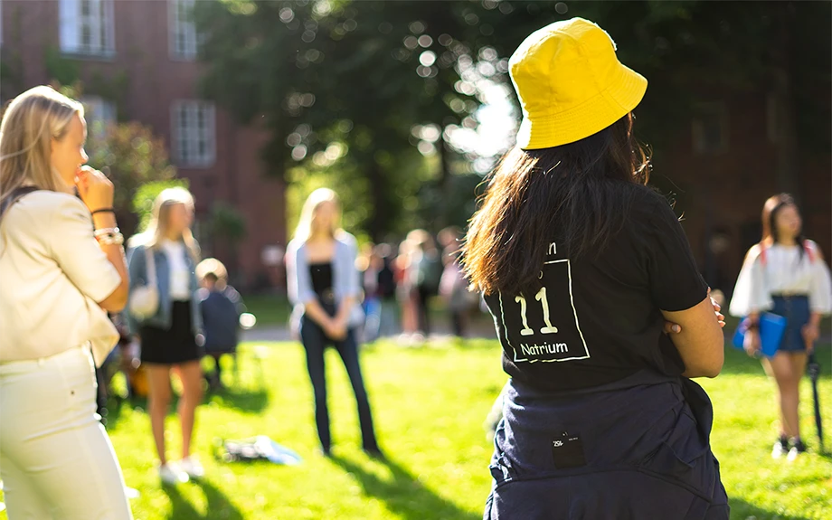 Students on a lawn.