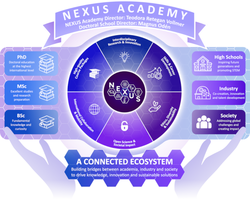 NEXUS Academy structure