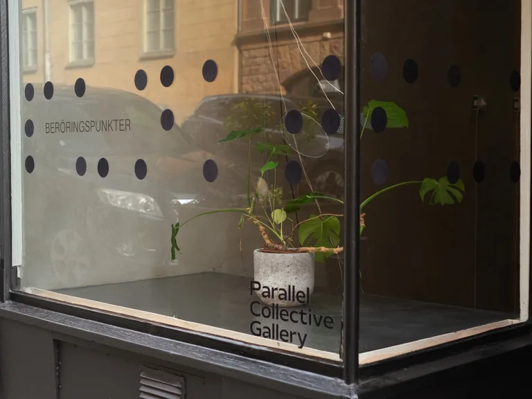 Storefront window of Parallel Collective Gallery featuring a potted plant, black dots, and text