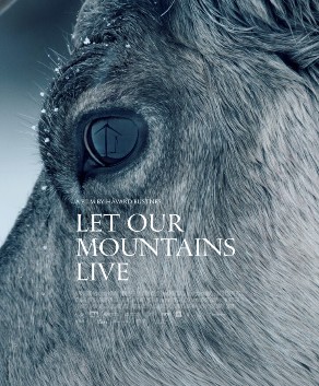 letourmountainslive poster