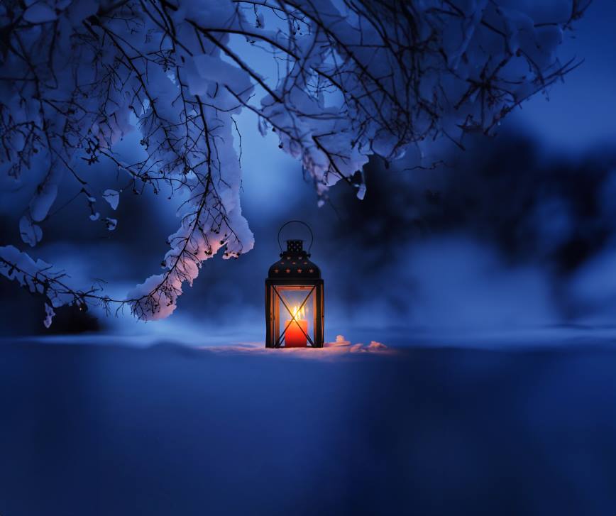 A lantern in the snow.