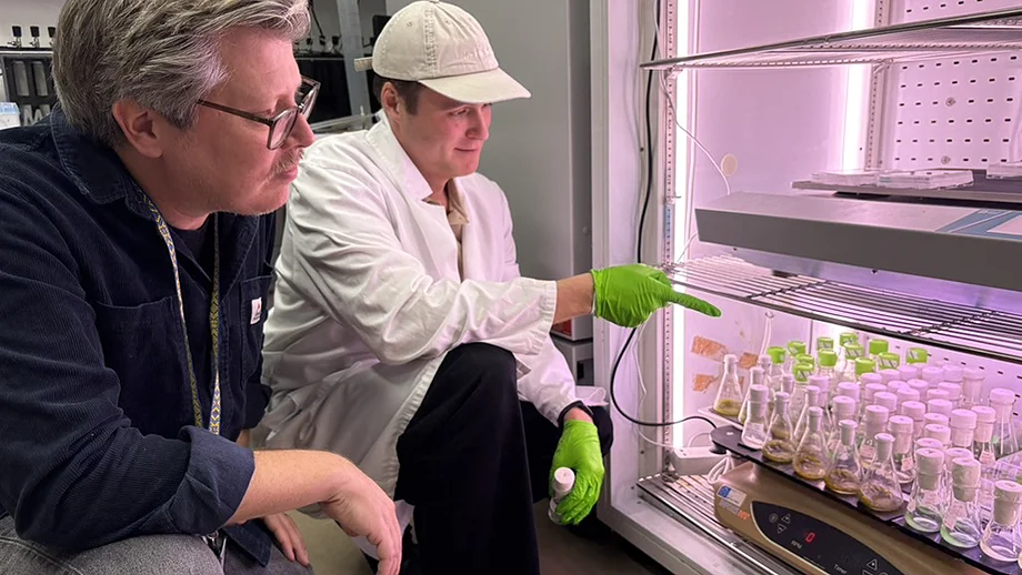 Two men in laboratory look at case filled with bacterial samples