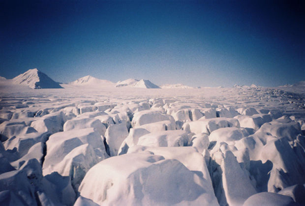 Arktis, mycket snack men inte lika mycket verkstad. Bild: Morguefile