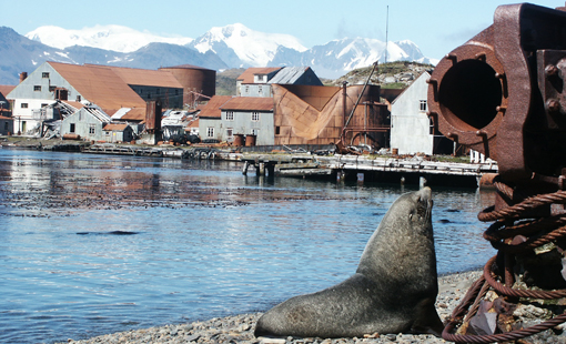 Prince Olav Harbour, South Georgia