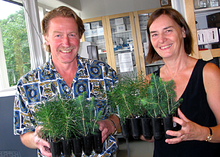 Torkel Berglund och Anna Ohlsson med några tuffa plantor som ska stå pall för angrepp från snytbagge