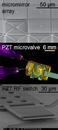 A micromirror, microvalve and a micro switch.