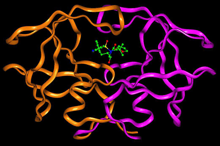 Bilden föreställer HIV-proteas