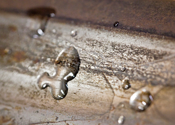 Water droplets on a piece of rail with blackish leaf layer