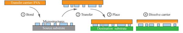 Transfer using PVA film as carrier