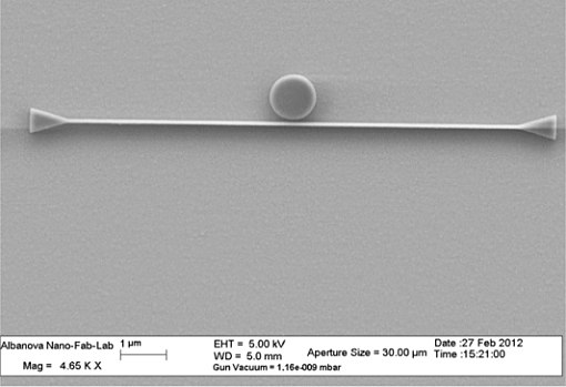 En fotonisk (optisk) skivresonator avbildad i elektronmikroskop med 4 600 gångers förstoring. Skivradien är endast 500 nm.
