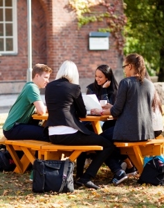 Students studying together outside