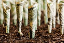 Money sprouting from the earth