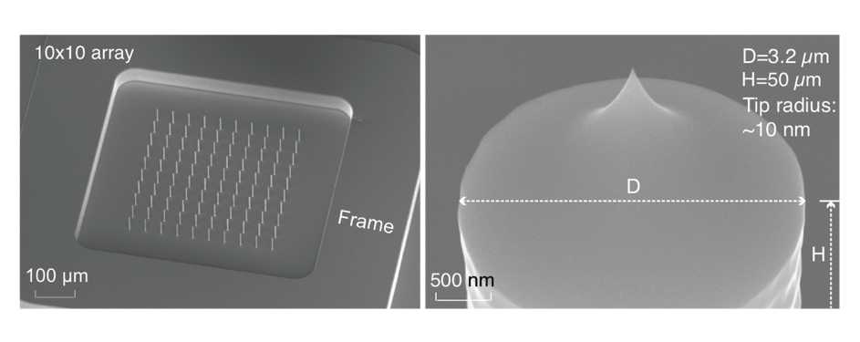 SEM image showing details of the miniturized x-ray source