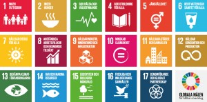 Logga FN:s Globala mål för hållbar utveckling