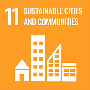 Sustainable development goal 11. Sustainable Cities and Communities