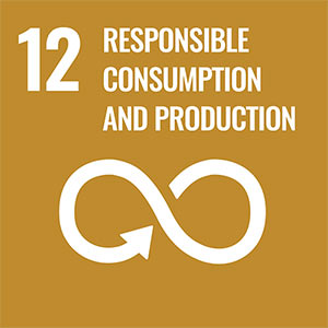 Sustainable development goal 12. Responsible Consumption and Production