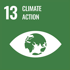Sustainable development goal 13. Climate Action
