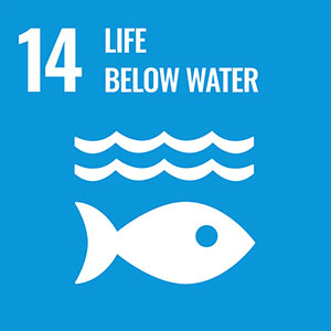 Sustainable development goal 14. Life Below Water