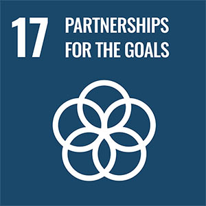 Sustainable development goal 17. Partnerships for the Goals