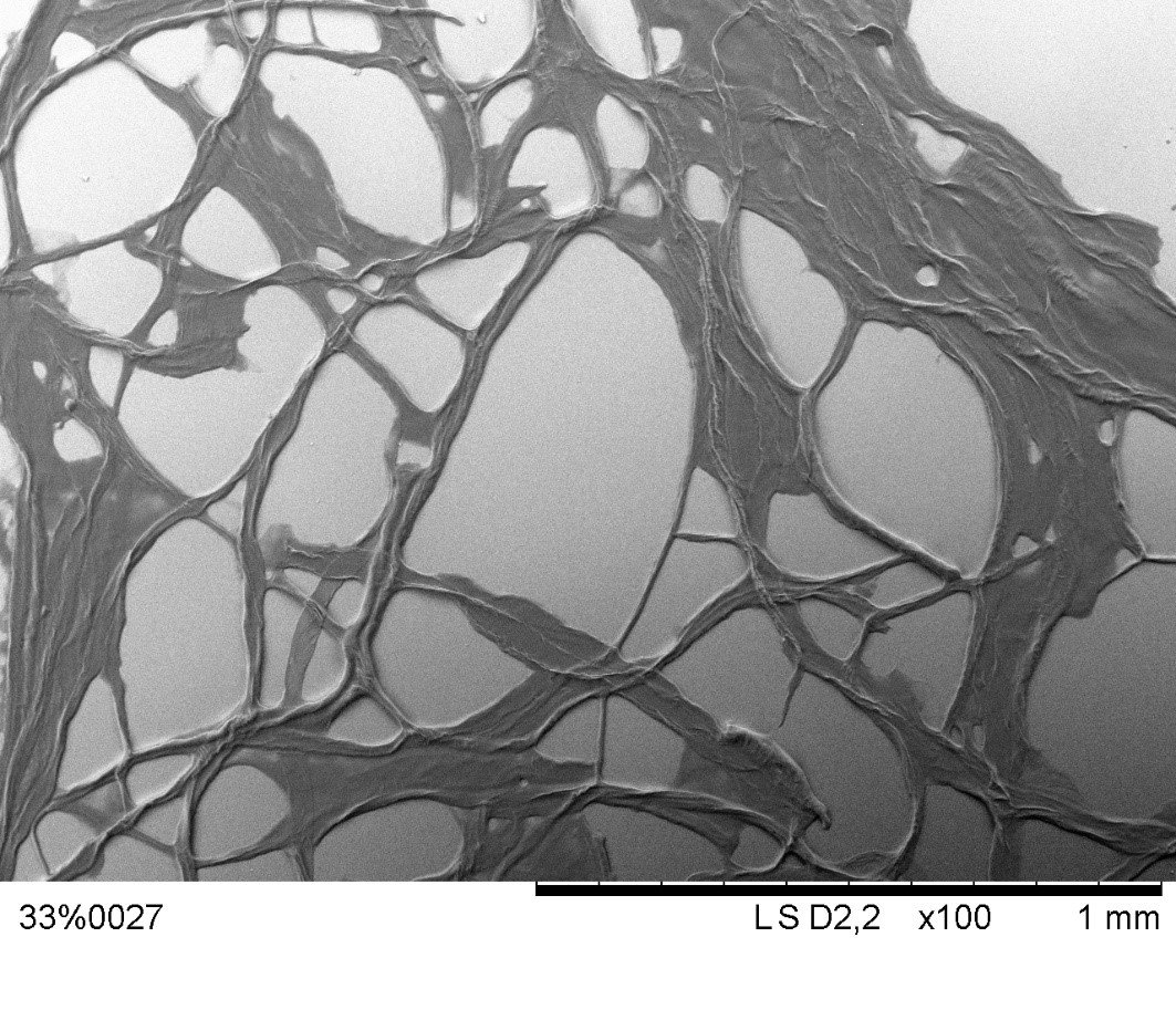 Close-up of partially derivatised cellulose fibre.