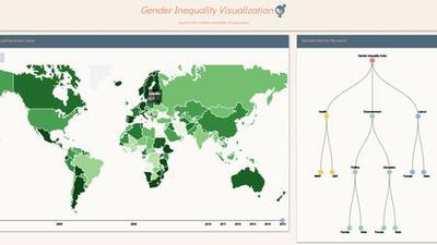 Gender Inequality Visualization